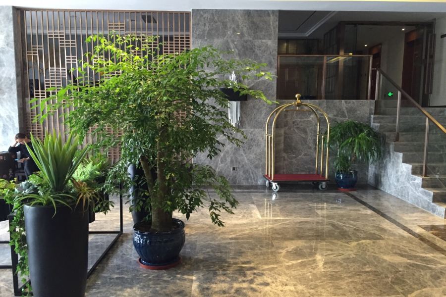 Yitel Shanghai Hongqiao Hub Linkong Zone Xangai Exterior foto